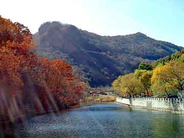 新澳天天开奖资料大全旅游团，史泰龙出海度假